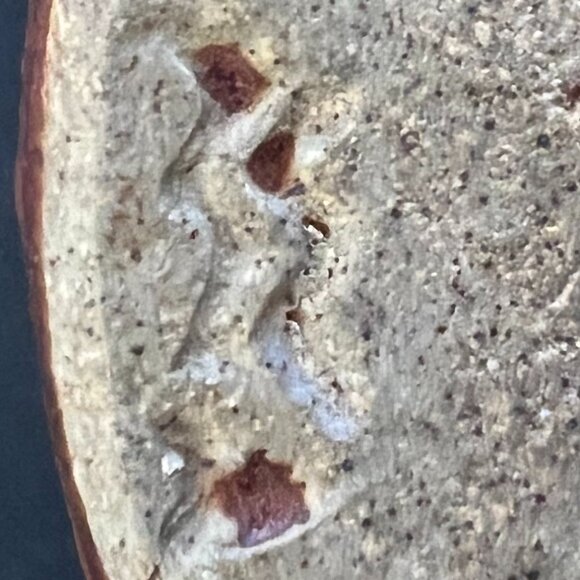 Handcrafted Hand Thrown Earth Toned Glazed Pottery Mug  ~ Hygge - Picture 12 of 12